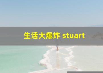 生活大爆炸 stuart